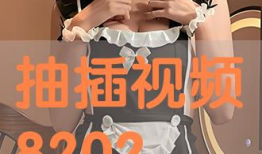 插抽视频,带你领略科技与娱乐的完美融合